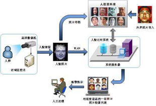 智能通道閘機 公共安防中的身份識別與信息鑒定新趨勢